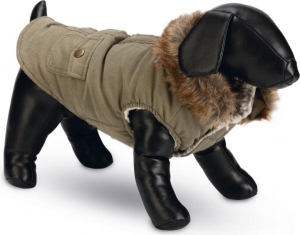 DBLHONDENJASPHILOSGRNS24