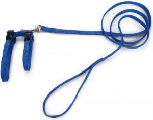 Beeztees-Kattentuigje-Nylon-Blauw-130cmx10mm