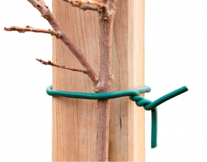 Rubberbandgroenmetijzerenkerndia3mmx10mNature-Nature