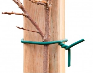 Rubberbandgroenmetijzerenkerndia6mmx5mNature-Nature