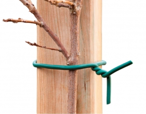 Rubberbandgroenmetijzerenkerndia6mmx5mNature-Nature