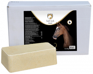 LiksteenMineralHorseLiksteen
