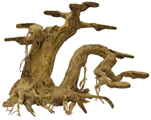 BonsaiPlanterLargeaquaria-Superfish