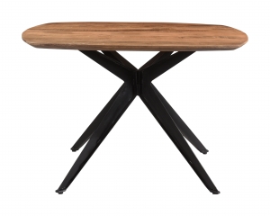 BrixEettafelBjornMangohout120cm