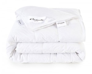 CinderellaSoulDekbed4seizoenen-Dons-1-persoons140x220cm