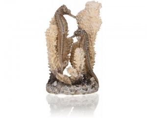 biOrbzeepaardjesnaturelSOase-Oase