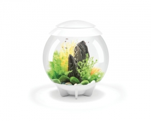 biOrbHalo30MCRwitOase-Oase