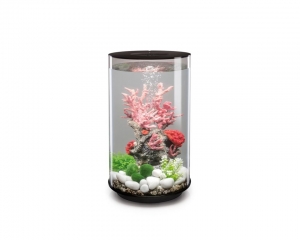 biOrbTube30MCRzwartOase-Oase