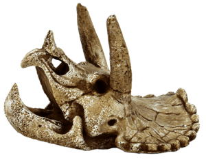 Superfishskulltriceratopsm-Superfish