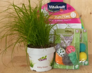 CadeaupakketkattenspeeltjesmetkattengrasvoorjekatWarentuinMix-Warentuinmix