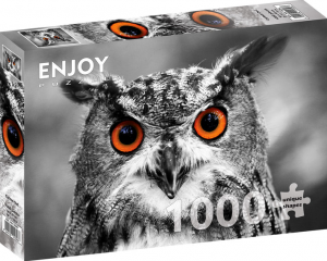 CuriousOwlPuzzel1000stukjes