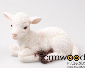 Lamligwitm195x11x125cmImhofStevensSID-Sid