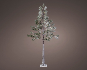LEDbooml50b50h180cm96lgroenLumineo-Lumineo