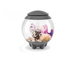 biOrbHalo15MCRgrijsOase-Oase