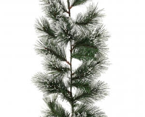 Sandiaslingerd25l270cmgroenwitEverlands-Everlands