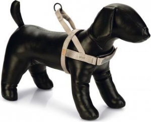 BZPREMBORSTTPARINCALGRS62-74X25