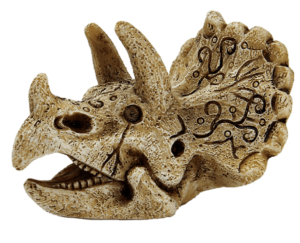 SkullTriceratopsSaquariaSuperfish-Superfish