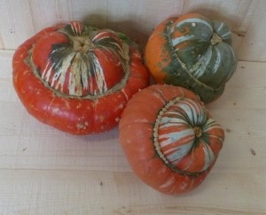TurkseMutsCucurbitaWarentuinNatuurlijk-Warentuinnatuurlijk