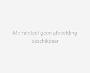 diverseHerstellerEzeeTabsVaatwasserreiniger-Ontvetter2tabs-40g