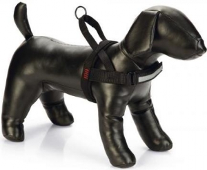 BZPREMBORSTTPARINCAZWT62-74X25