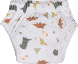 BlushBlossomDinosaurus18-24MBadstofOefenbroekjeTR-BB443444