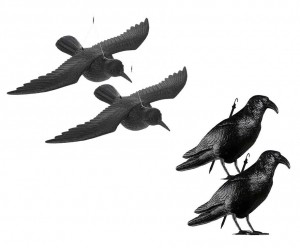 11GRATISDuivenverjagerTegenPoepEnGeluid