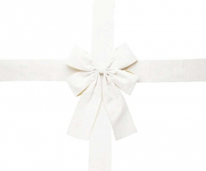 UITVERKOOPDeurstrikMetLintWit