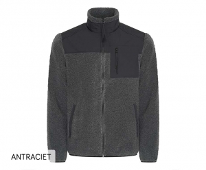 TeddyJasOttawa3XLAntraciet