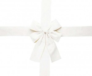 UITVERKOOPDeurstrikMetLintWit