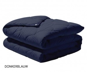 Eazy4SeizoenenDekbed200x200cmDonkerblauw
