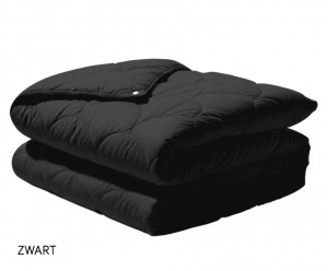 Eazy4SeizoenenDekbed240x200cmZwart