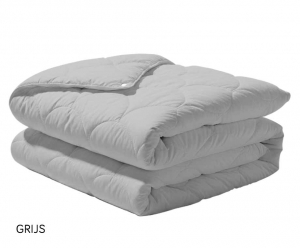 Eazy4SeizoenenDekbed140x200cmGrijs