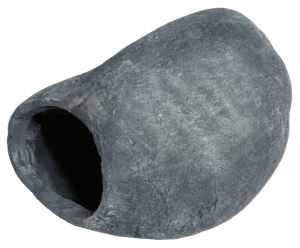 FishCave1aquariaSuperfish-Superfish