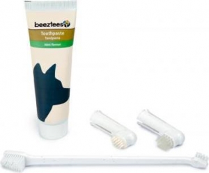 BZGEBITVERZORGSETTANDPBORSTELS