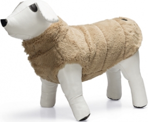 DBLHONDENJASVICTORIABGE24