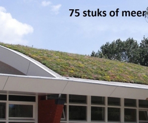 Minimaal75stuksDakgroenSedummixmatCompleetincldrainagetype11c3zakkendaktuinsubstraatper12m2max25gradenSempergreen-Sempergreen