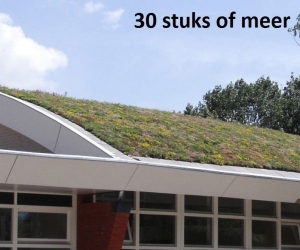 Minimaal30stuksDakgroenSedummixmatCompleetincldrainagetype11c3zakkendaktuinsubstraatper12m2max25gradenSempergreen-Sempergreen