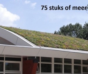 Minimaal75stuksDakgroenSedummixmatCompleetincldrainagetype11c3zakkendaktuinsubstraatper12m2max25gradenSempergreen-Sempergreen