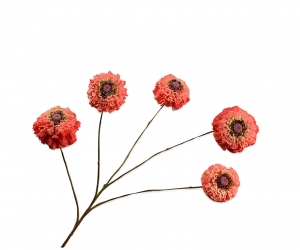 Zinniatakoranje91cmkunstbloemSilk-Ka-Silkka