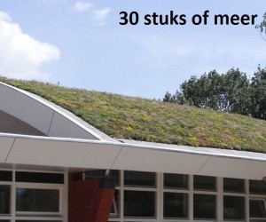 Minimaal30stuksDakgroenSedummixmatCompleetincldrainagetype11c3zakkendaktuinsubstraatper12m2max25gradenSempergreen-Sempergreen