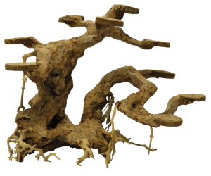 BonsaiPlanterMediumaquaria-Superfish
