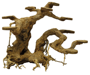 BonsaiPlanterMediumaquaria-Superfish