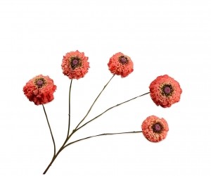 Zinniatakoranje91cmSilk-Ka-Silkka