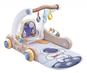 EcoToysBlauw2-in-1ActiviteitenSpeelkleedenLooptrainer