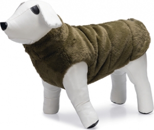 DBLHONDENJASVICTORIAGRN32