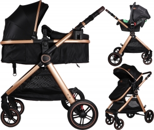 DingLiamBlackRose3-in-1CombiKinderwagenInclAutostoelDI-381712