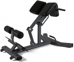 ToorxProfessionalWBX-B2600BackExtension