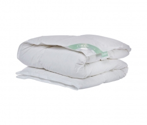 LenteHerfstdekbedCastellaAuroramet90Poolseganzendons