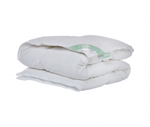 LenteHerfstdekbedCastellaAuroramet90Poolseganzendons