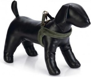 DesignedbyLotteVelura-Hondentuig-Groen-XXS-15mmx36cm